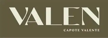 valen-logo